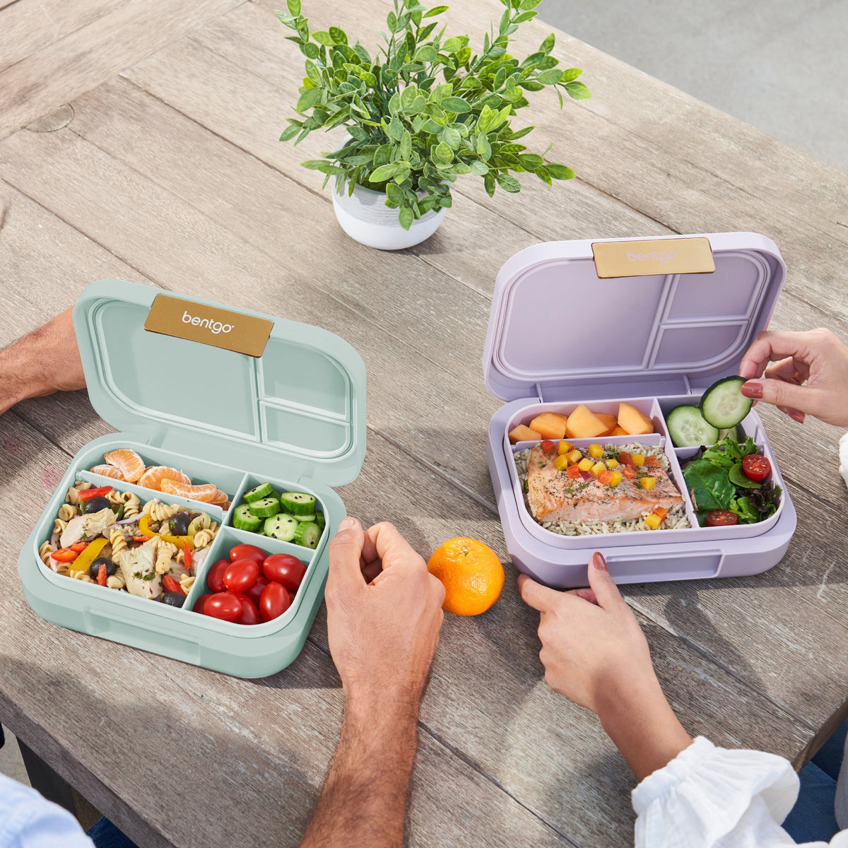 bentgo-modern-lunch-box-2-pack-e6 COSTCOBMCPRODUCTIMAGE_2.jpg